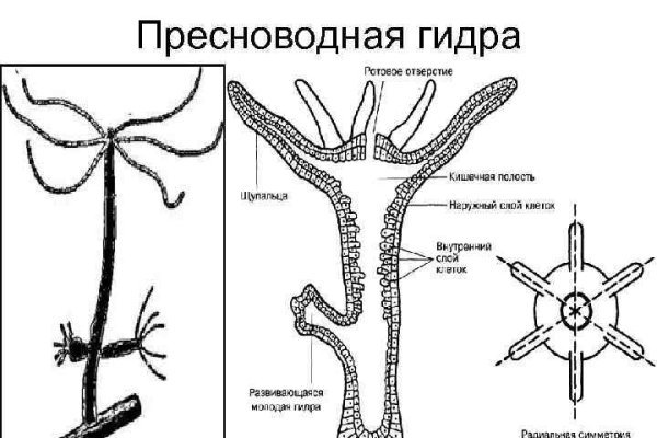 Кракен что за сайт