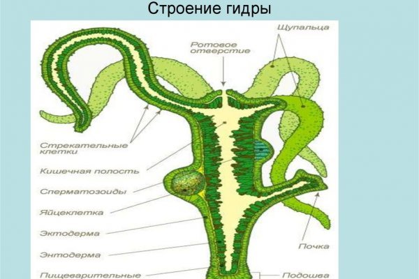 Кракен kr2connect co